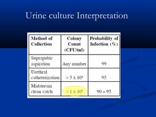 Urine culture Interpretation
 