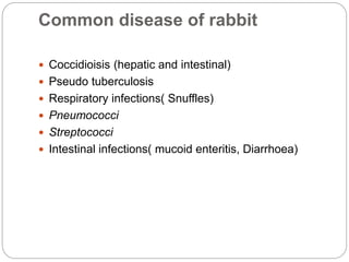 C. Diff In Rabbits Common laboratory animals | PPTX