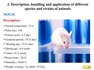 Common laboratory animals | PPTX