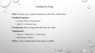 Common Laboratory Animals i.e.Frog .pptx
