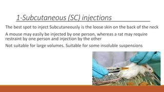 Ppt Sc Injection Common Laboratory Techniques in Experimental Pharmacology.pdf