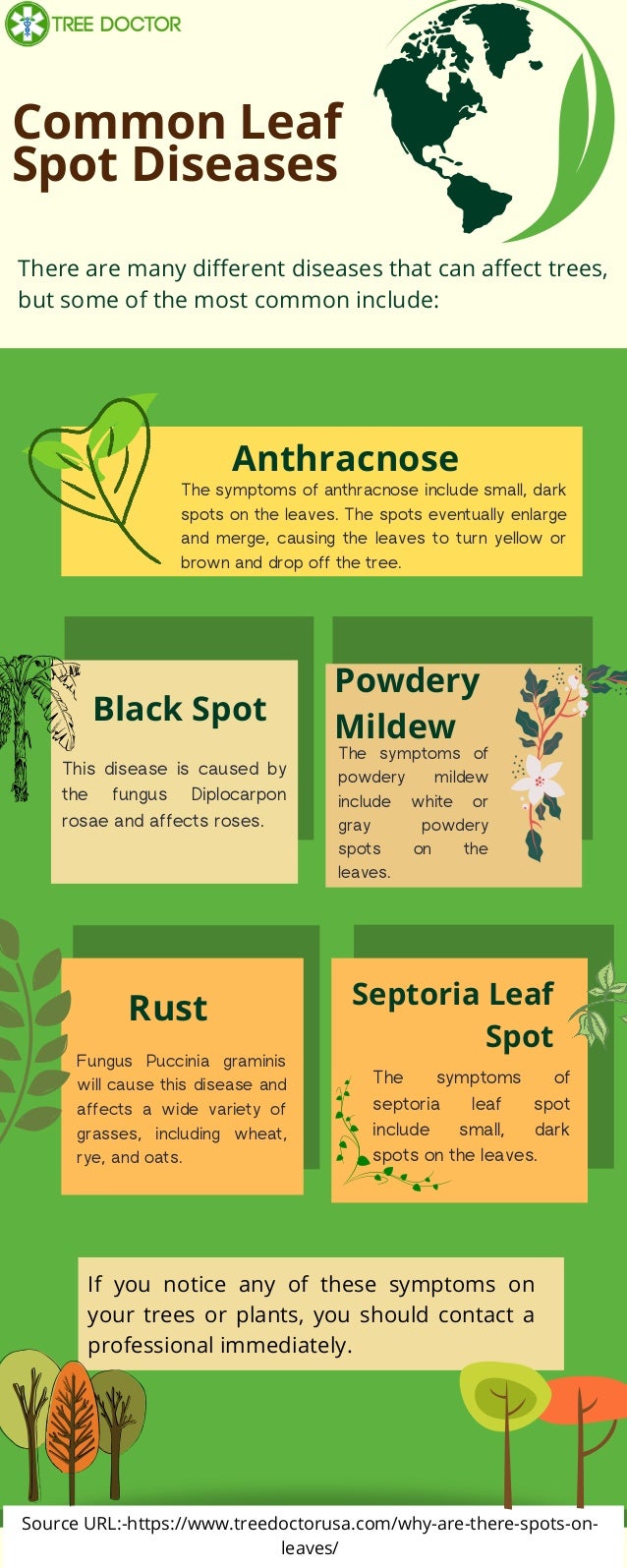 Common Leaf Spot Diseases.pdf