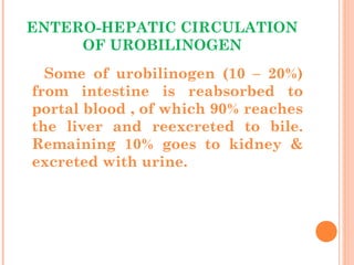ENTERO-HEPATIC CIRCULATION
OF UROBILINOGEN
Some of urobilinogen (10 – 20%)
from intestine is reabsorbed to
portal blood , of which 90% reaches
the liver and reexcreted to bile.
Remaining 10% goes to kidney &
excreted with urine.
 