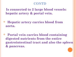 CONTD
Is connected to 2 large blood vessels:
hepatic artery & portal vein.
 Hepatic artery carries blood from
aorta.
 Portal vein carries blood containing
digested nutrients from the entire
gastrointestinal tract and also the spleen
& pancreas.
 