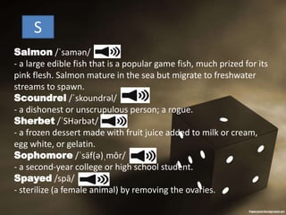 S
Salmon /ˈsamən/
- a large edible fish that is a popular game fish, much prized for its
pink flesh. Salmon mature in the sea but migrate to freshwater
streams to spawn.
Scoundrel /ˈskoundrəl/
- a dishonest or unscrupulous person; a rogue.
Sherbet /ˈSHərbət/
- a frozen dessert made with fruit juice added to milk or cream,
egg white, or gelatin.
Sophomore /ˈsäf(ə)ˌmôr/
- a second-year college or high school student.
Spayed /spā/
- sterilize (a female animal) by removing the ovaries.
 