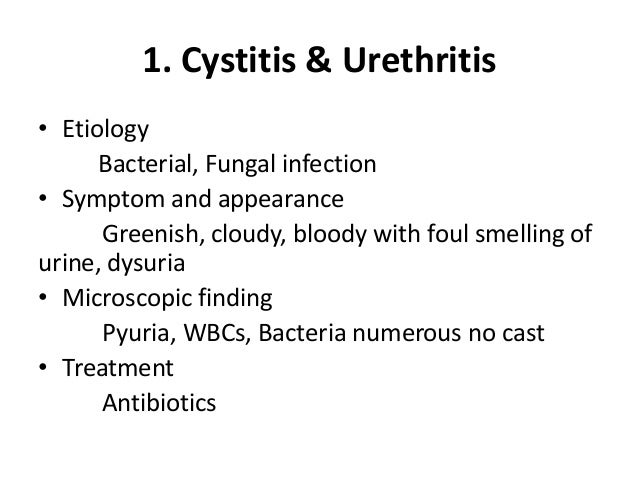 Commonly renal diseases associated with urine elements/Kridsada31