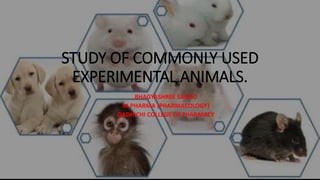 STUDY OF COMMONLY USED
EXPERIMENTAL ANIMALS.
BHAGYASHREE SAHOO
M.PHARMA (PHARMACOLOGY)
DADHICHI COLLEGE OF PHARMACY
 