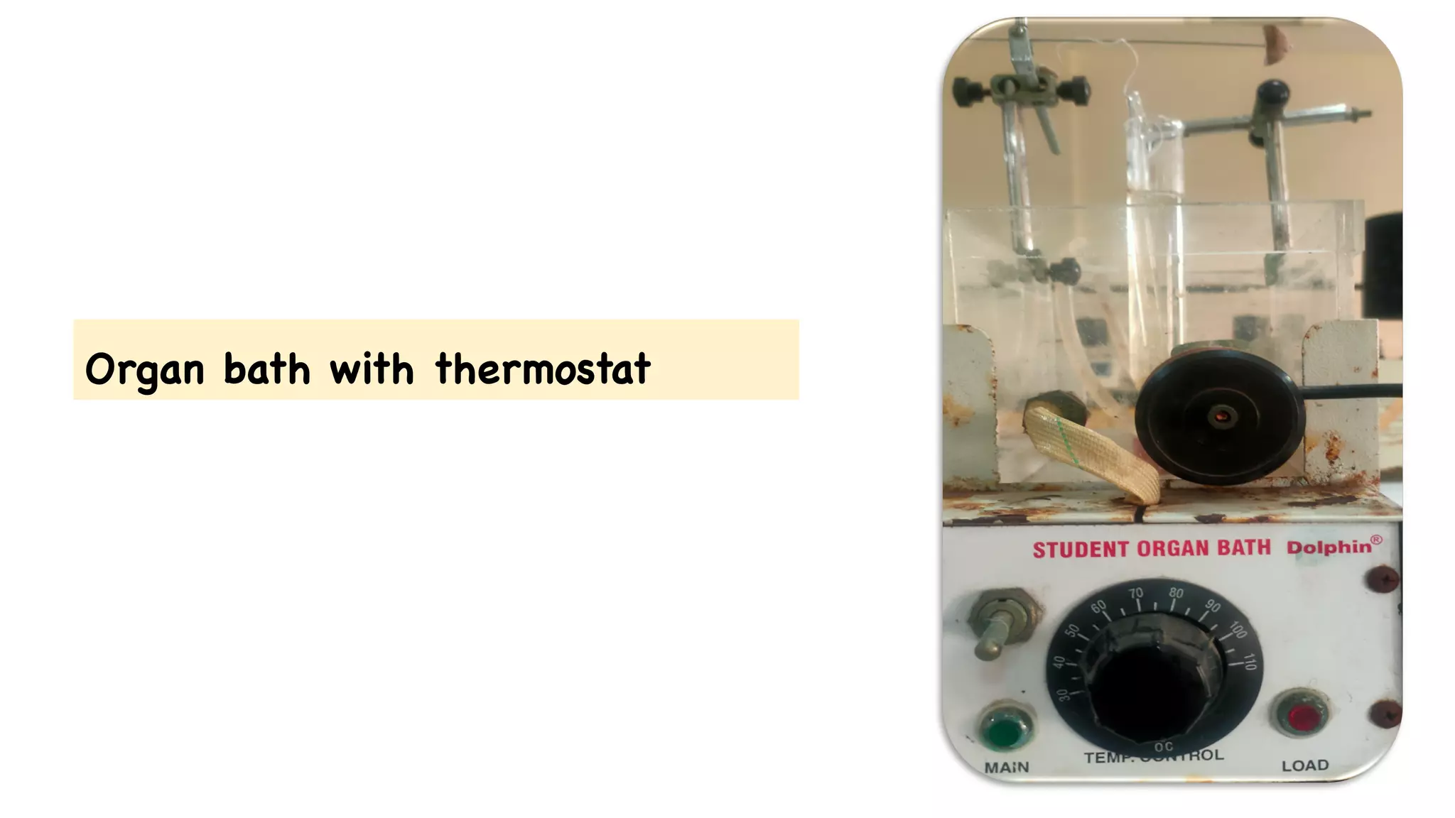 Organ bath with thermostat