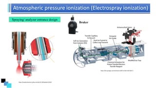 Atmospheric pressure ionization (Electrospray ionization)
Spraying/ analyzer entrance design
https://link.springer.com/article/10.1007/s13361-018-2047-2
Bruker
https://analyticalscience.wiley.com/do/10.1002/gitlab.10102/
 