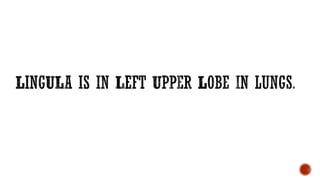 Commonly used medical mnemonics