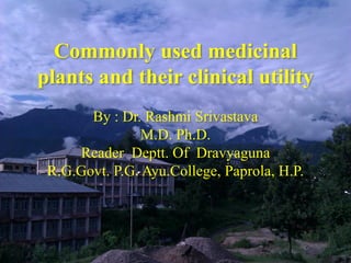 Commonly used medicinal
plants and their clinical utility
By : Dr. Rashmi Srivastava
M.D. Ph.D.
Reader Deptt. Of Dravyaguna
R.G.Govt. P.G. Ayu.College, Paprola, H.P.
 