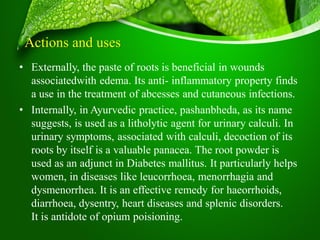 Mathunga Benefits Commonly used medicinal plants and their clinical utility | PDF