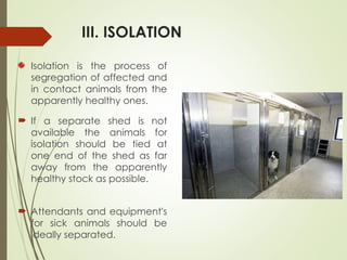 Comprehensive Guide to Disinfection and Animal Disease Management ...
