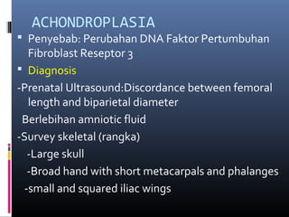 ACHONDROPLASIA
 Penyebab: Perubahan DNA Faktor Pertumbuhan
Fibroblast Reseptor 3
 Diagnosis
-Prenatal Ultrasound:Discordance between femoral
length and biparietal diameter
Berlebihan amniotic fluid
-Survey skeletal (rangka)
-Large skull
-Broad hand with short metacarpals and phalanges
-small and squared iliac wings
 