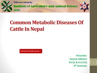 Common Metabolic Diseases Of
Cattle In Nepal
Presenter:
Ganesh Adhikari
B.V.Sc & A.H (TU)
9th Semester
1
Clinical Conference-I
 