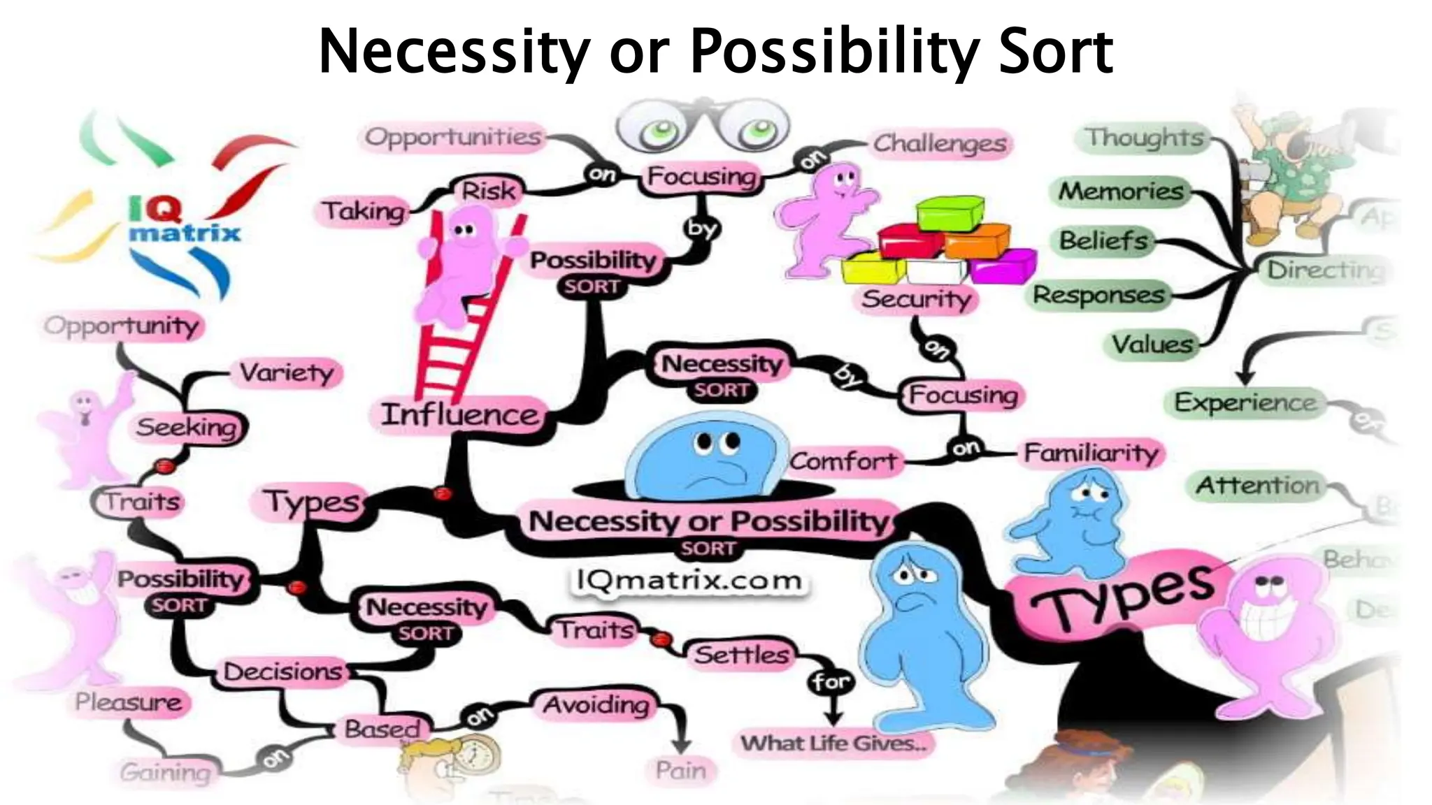 Common Meta Programs for individual.pptx