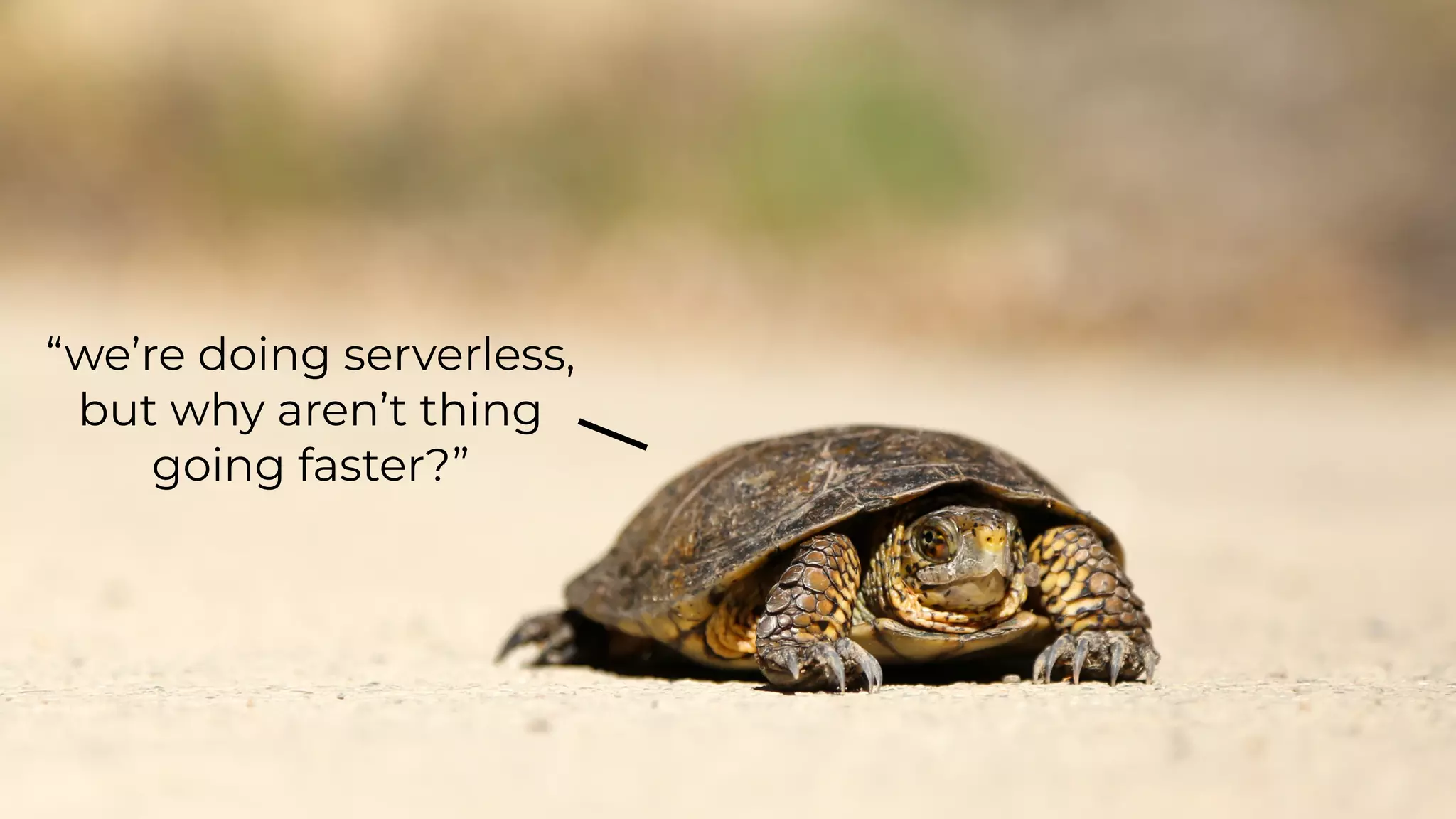 “we’re doing serverless,
but why aren’t thing
going faster?”
 