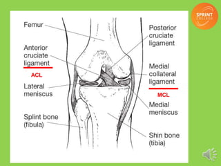 ACL
MCL
 