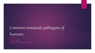 Common nematode pathogens of
humans
M. HEMA
I-MSC ZOOLOGY
GOVT ARTS AND SCIENCE COLLEGE
 