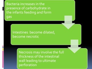 Bacteria increases in the
presence of carbohydrate in
the infants feeding and form
gas
Intestines become dilated,
become necrotic
Necrosis may involve the full
thickness of the intestinal
wall leading to ultimate
perforation
 
