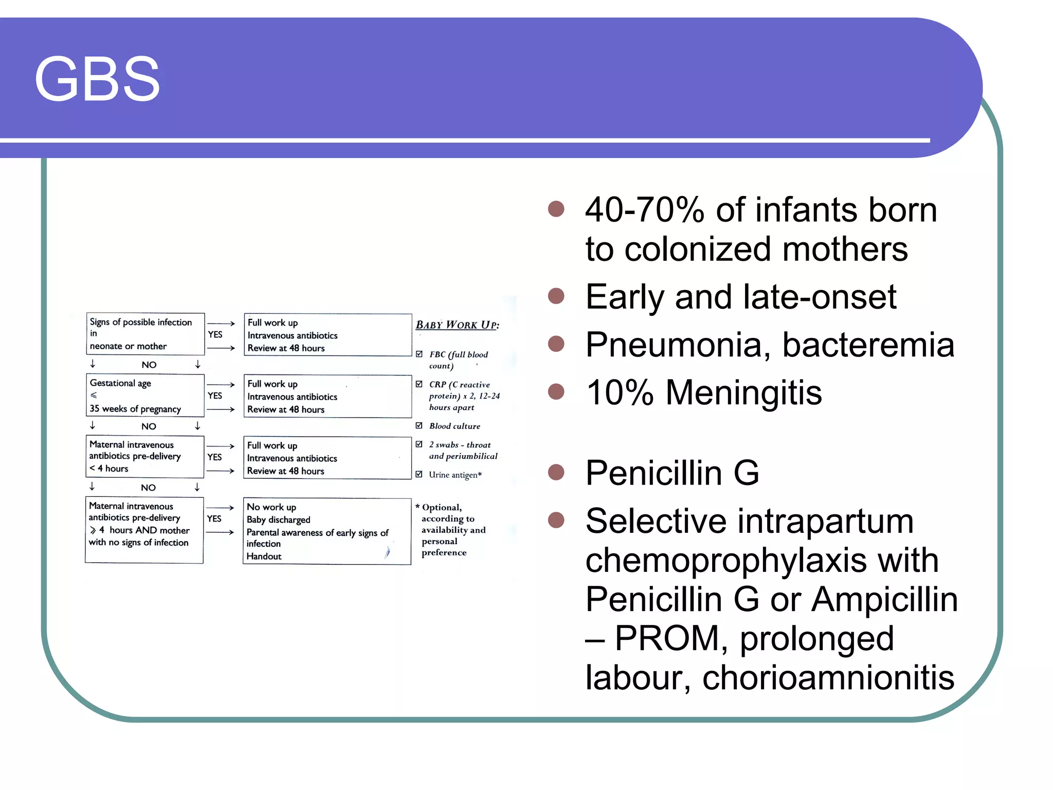GBS 40-70% of infants born to colonized mothers Early and late-onset Pneumonia, bacteremia 10% Meningitis Penicillin G Selective intrapartum chemoprophylaxis with Penicillin G or Ampicillin – PROM, prolonged labour, chorioamnionitis 