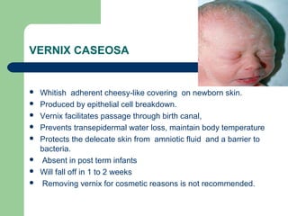 Vernox Rash Common neonatal problems | PPT