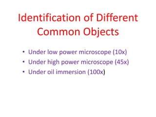 Various Coomon Object Demonstration Pppt | PPTX