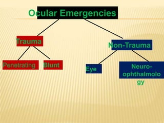 Common ocular emergencies | PPTX