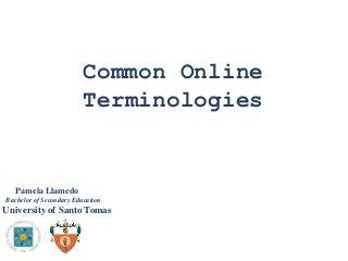 Common Online
Terminologies

Pamela Llamedo
Bachelor of Secondary Education

University of Santo Tomas

 