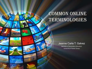 COMMON ONLINE
TERMINOLOGIES

Jeanne Carla T. Galvez
Bachelor of Secondary Education
University of Santo Tomas

 