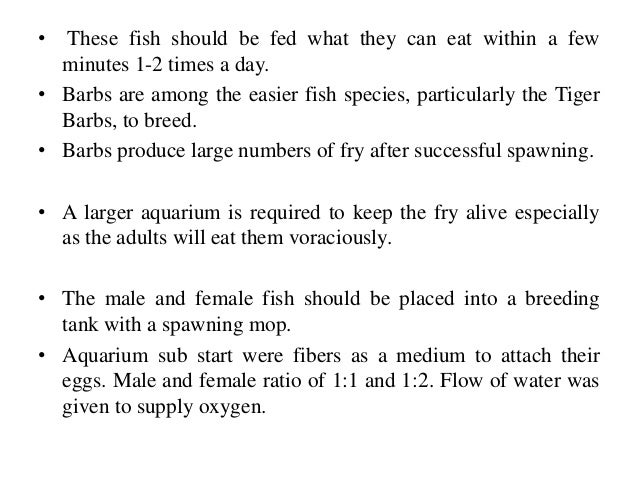 Common Egg layers in Aquarium