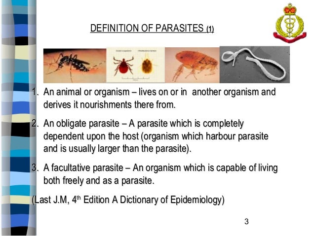 bacteria and living organism parasites Overview viruses, bacteria and parasites are living organisms that are found all around us they exist in water and soil, on the surfaces of foods that we eat. bacteria and living organism parasites Overview viruses, bacteria and parasites are living organisms that are found all around us they exist in water and soil, on the surfaces of foods that we eat.