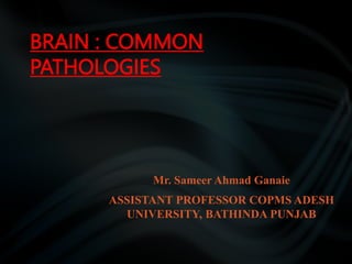BRAIN : COMMON
PATHOLOGIES
Mr. Sameer Ahmad Ganaie
ASSISTANT PROFESSOR COPMS ADESH
UNIVERSITY, BATHINDA PUNJAB
 