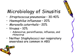 Microbiology of Sinusitis Streptococcus pneumoniae  – 30-40% Haemophilus influenzae  – 20% Moraxella catarrhalis  – 20% Viruses – 10% Adenovirus, parainfluenza, influenza, and rhinovirus Neither Staphylococci nor respiratory anaerobes are common in ABS 