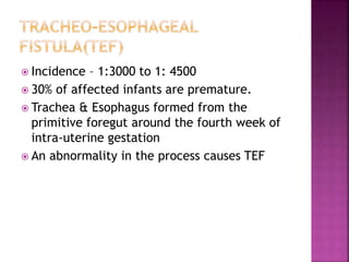  Incidence – 1:3000 to 1: 4500
 30% of affected infants are premature.
 Trachea & Esophagus formed from the
primitive foregut around the fourth week of
intra-uterine gestation
 An abnormality in the process causes TEF
 