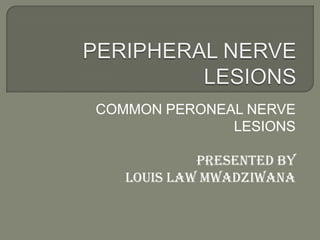 COMMON PERONEAL NERVE
LESIONS
Presented by
Louis law Mwadziwana

 