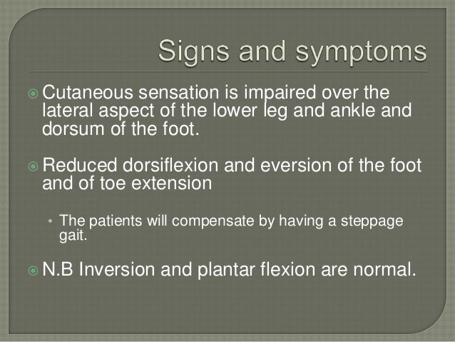 Pe Exam Results >> Common peroneal nerve lesions Pe Exam Results >> Common peroneal nerve lesions