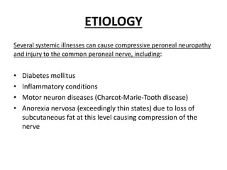 ETIOLOGY
Several systemic illnesses can cause compressive peroneal neuropathy
and injury to the common peroneal nerve, including:
• Diabetes mellitus
• Inflammatory conditions
• Motor neuron diseases (Charcot-Marie-Tooth disease)
• Anorexia nervosa (exceedingly thin states) due to loss of
subcutaneous fat at this level causing compression of the
nerve
 