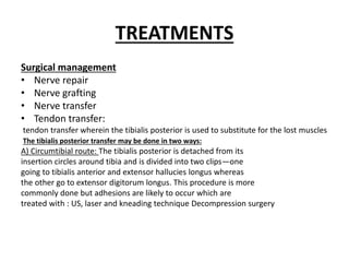 TREATMENTS
Surgical management
• Nerve repair
• Nerve grafting
• Nerve transfer
• Tendon transfer:
tendon transfer wherein the tibialis posterior is used to substitute for the lost muscles
The tibialis posterior transfer may be done in two ways:
A) Circumtibial route: The tibialis posterior is detached from its
insertion circles around tibia and is divided into two clips—one
going to tibialis anterior and extensor hallucies longus whereas
the other go to extensor digitorum longus. This procedure is more
commonly done but adhesions are likely to occur which are
treated with : US, laser and kneading technique Decompression surgery
 