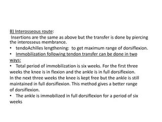 B) Interosseous route:
Insertions are the same as above but the transfer is done by piercing
the interosseus membrance.
• tendoAchilles lengthening: to get maximum range of dorsiflexion.
• Immobilization following tendon transfer can be done in two
ways:
• Total period of immobilization is six weeks. For the first three
weeks the knee is in flexion and the ankle is in full dorsiflexion.
In the next three weeks the knee is kept free but the ankle is still
maintained in full dorsiflexion. This method gives a better range
of dorsiflexion.
• The ankle is immobilized in full dorsiflexion for a period of six
weeks
 