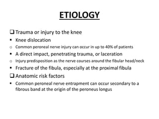 ETIOLOGY
Trauma or injury to the knee
 Knee dislocation
o Common peroneal nerve injury can occur in up to 40% of patients
 A direct impact, penetrating trauma, or laceration
o Injury predisposition as the nerve courses around the fibular head/neck
 Fracture of the fibula, especially at the proximal fibula
Anatomic risk factors
 Common peroneal nerve entrapment can occur secondary to a
fibrous band at the origin of the peroneus longus
 