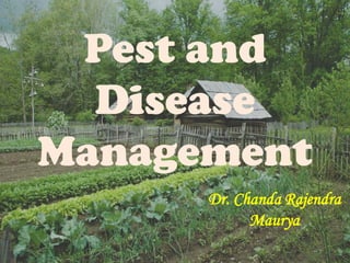 Pest and
Disease
Management
Dr. Chanda Rajendra
Maurya
 