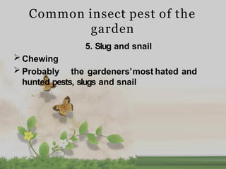 Comprehensive Guide to Natural Pest and Disease Management in ...