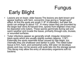 Blighted Color Common Plant Diseases.ppt