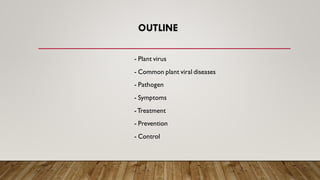 OUTLINE
- Plant virus
- Common plant viral diseases
- Pathogen
- Symptoms
-Treatment
- Prevention
- Control
 