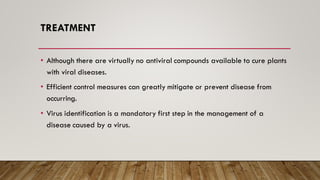 TREATMENT
• Although there are virtually no antiviral compounds available to cure plants
with viral diseases.
• Efficient control measures can greatly mitigate or prevent disease from
occurring.
• Virus identification is a mandatory first step in the management of a
disease caused by a virus.
 