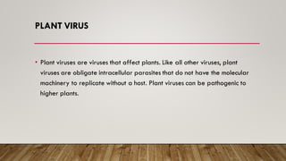 PLANT VIRUS
• Plant viruses are viruses that affect plants. Like all other viruses, plant
viruses are obligate intracellular parasites that do not have the molecular
machinery to replicate without a host. Plant viruses can be pathogenic to
higher plants.
 