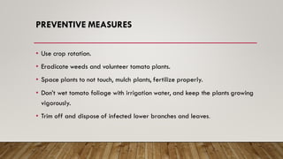 PREVENTIVE MEASURES
• Use crop rotation.
• Eradicate weeds and volunteer tomato plants.
• Space plants to not touch, mulch plants, fertilize properly.
• Don’t wet tomato foliage with irrigation water, and keep the plants growing
vigorously.
• Trim off and dispose of infected lower branches and leaves.
 