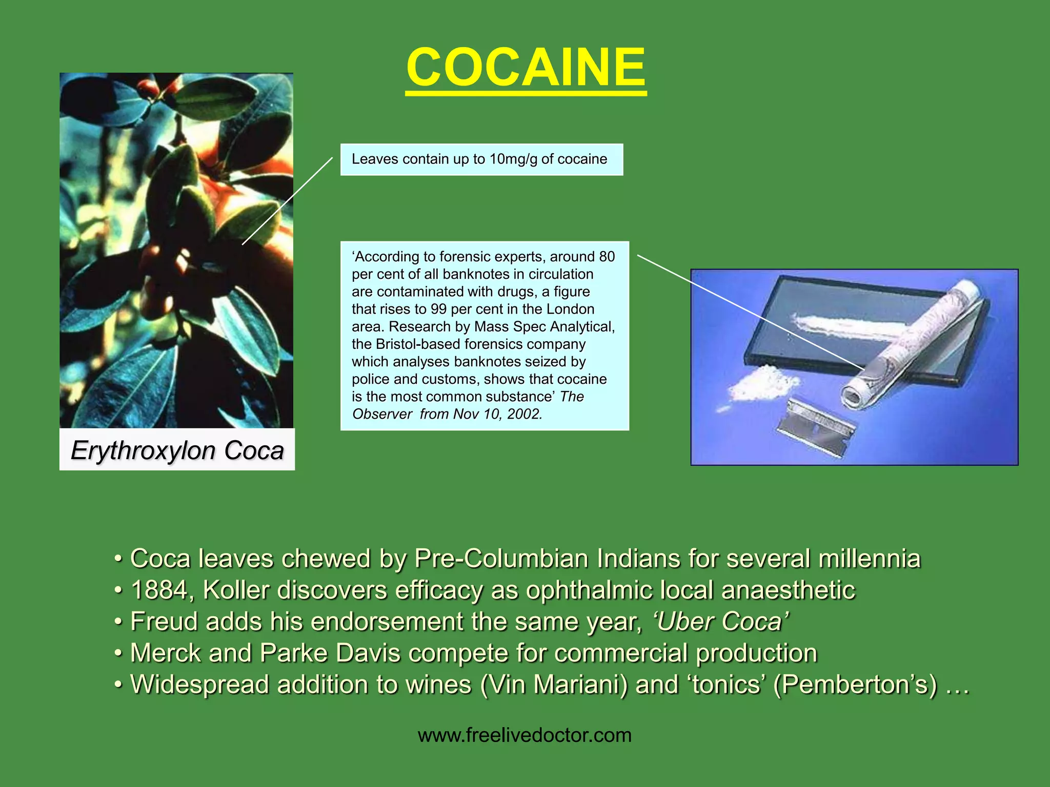 COCAINE
• Coca leaves chewed by Pre-Columbian Indians for several millennia
• 1884, Koller discovers efficacy as ophthalmic local anaesthetic
• Freud adds his endorsement the same year, ‘Uber Coca’
• Merck and Parke Davis compete for commercial production
• Widespread addition to wines (Vin Mariani) and ‘tonics’ (Pemberton’s) …
Erythroxylon Coca
Leaves contain up to 10mg/g of cocaine
‘According to forensic experts, around 80
per cent of all banknotes in circulation
are contaminated with drugs, a figure
that rises to 99 per cent in the London
area. Research by Mass Spec Analytical,
the Bristol-based forensics company
which analyses banknotes seized by
police and customs, shows that cocaine
is the most common substance’ The
Observer from Nov 10, 2002.
www.freelivedoctor.com
 