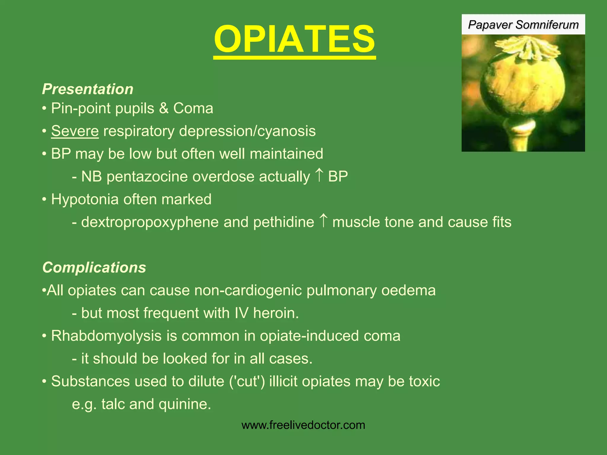 Papaver Somniferum
OPIATES
Presentation
• Pin-point pupils & Coma
• Severe respiratory depression/cyanosis
• BP may be low but often well maintained
- NB pentazocine overdose actually  BP
• Hypotonia often marked
- dextropropoxyphene and pethidine  muscle tone and cause fits
Complications
•All opiates can cause non-cardiogenic pulmonary oedema
- but most frequent with IV heroin.
• Rhabdomyolysis is common in opiate-induced coma
- it should be looked for in all cases.
• Substances used to dilute ('cut') illicit opiates may be toxic
e.g. talc and quinine.
www.freelivedoctor.com
 